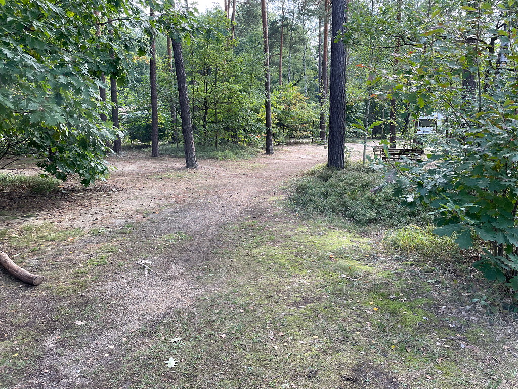 Stellplätze auf Ostseite