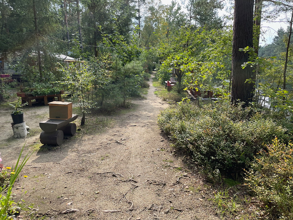 Weg